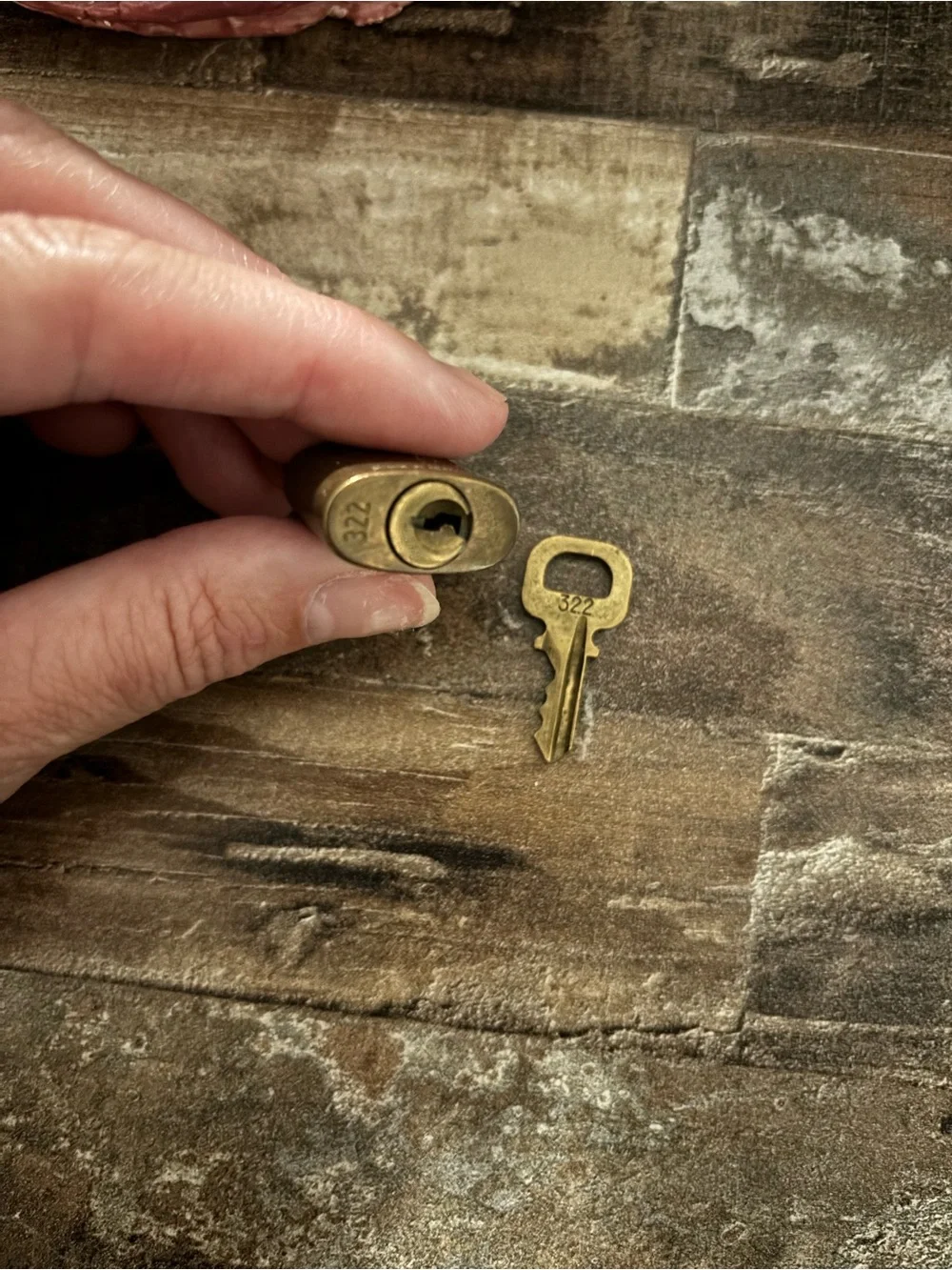 Louis Vuitton Brass Padlock with Key - Small Brass Lock